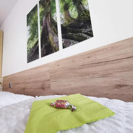 Alpenblick * Bad Aussee